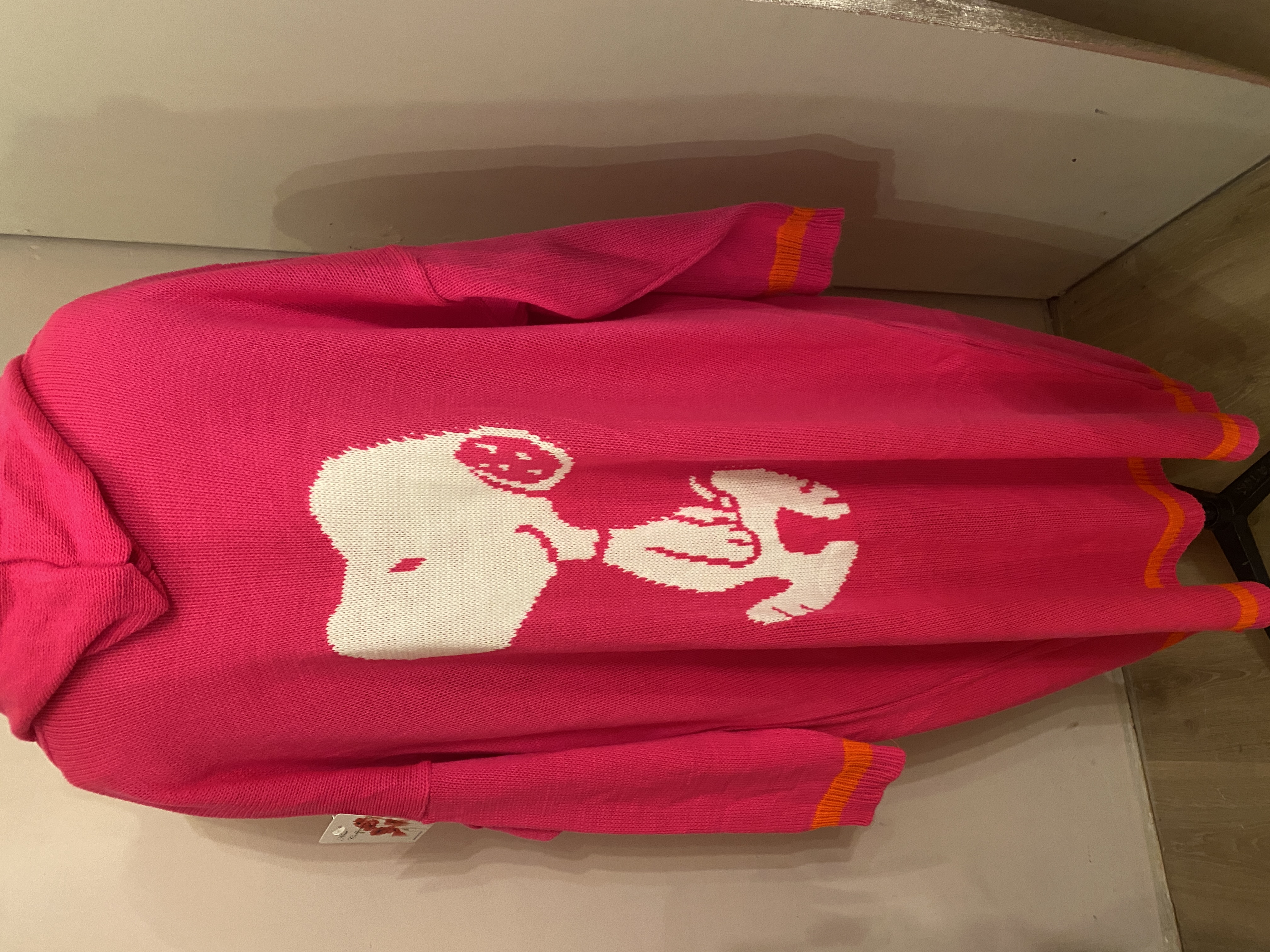Tricot vest Snoopie